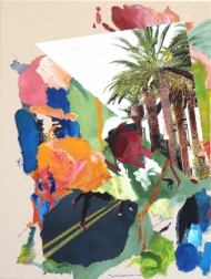 Brandon Neher: Artist Palette / Palms